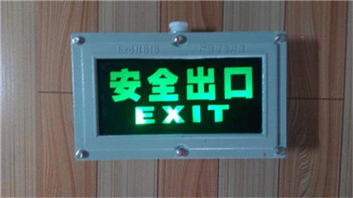 消防安全出xxx标志灯