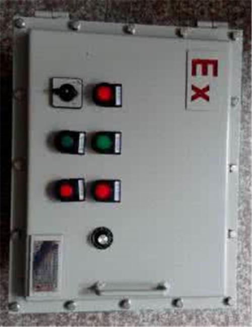 BXK-DIP粉尘防爆控制箱