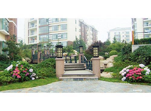 青岛园林绿化苗在善、苗在善、太行园林(图)